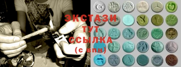 индика Мегион