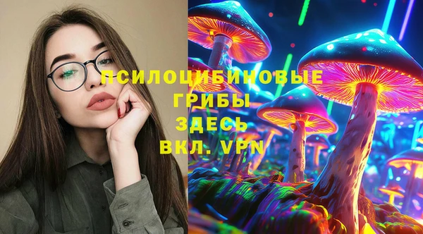 гидропоника Медногорск