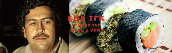 индика Мегион