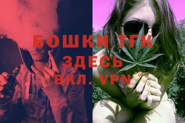 гидропоника Медногорск