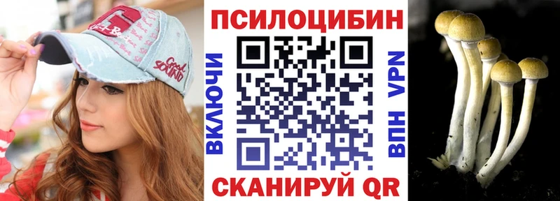 Псилоцибиновые грибы Psilocybine cubensis  Питкяранта 